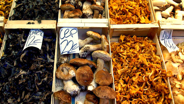 Wild mushrooms that you will find in all food markets of Barcelona in Autumn